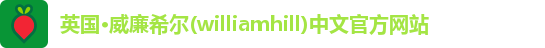 英国·威廉希尔(williamhill)中文官方网站